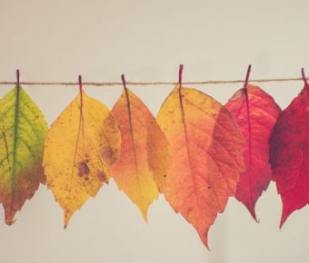 Herfst en winter coming up! 